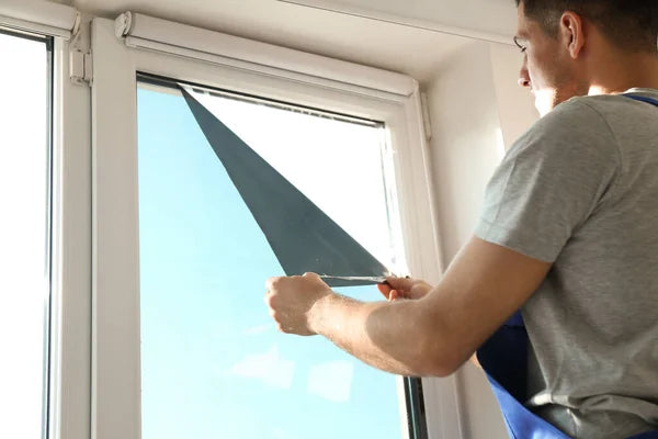 Choosing the Right Privacy Film for You